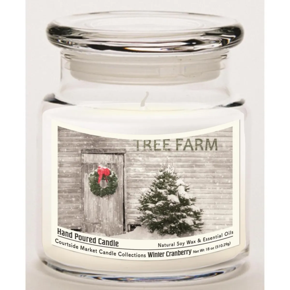 Courtside Market Candles | Soy Candle W/ Essential Oils + Glass Lid - Tree Farm